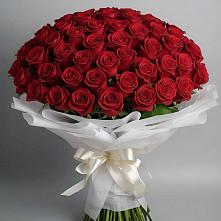 Букет 101 Красная роза Блэк Мэджик в Нее