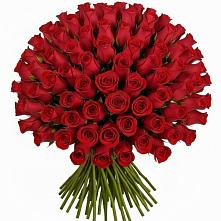 Букет Красные розы Чери Лав в Нее